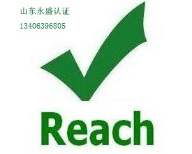 Reach認(rèn)證